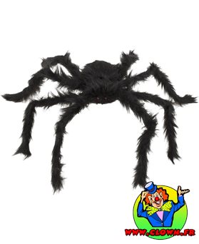 Araignée géante velue noir