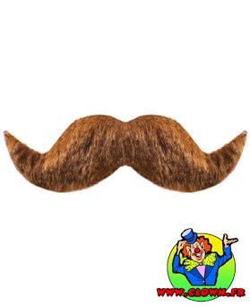 Moustache ambassadeur rousse