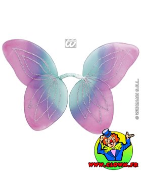 Ailes de papillon N3 multicolores