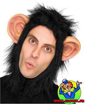 Coiffe homme singe grandes oreilles