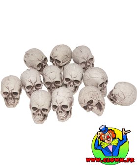Crâne en plastique