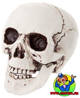 Crâne en plastique