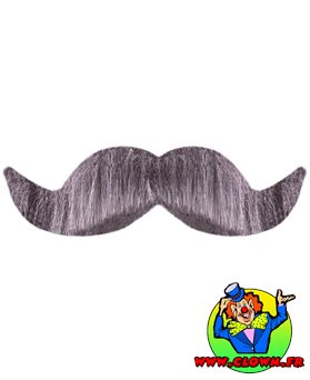 Moustache ambassadeur grise