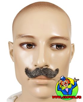 Moustache stylisée grise
