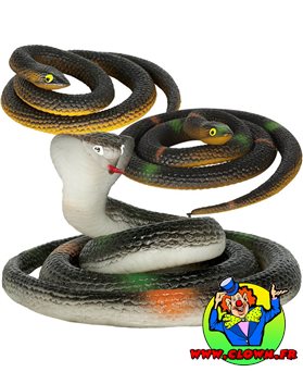 Plusieurs serpents latex