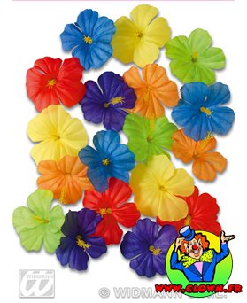 Sachet de 18 fleurs d'ibiscus décoration