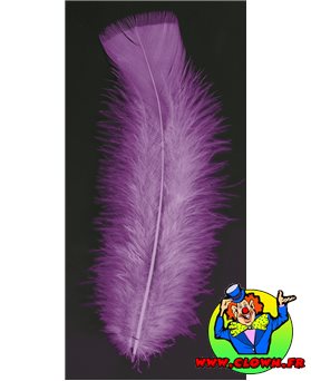 Sachet de plumes violet
